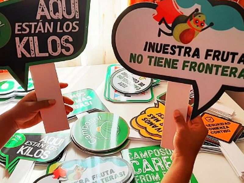 Paletas en PVC