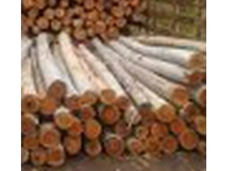 Madera piemina Perú