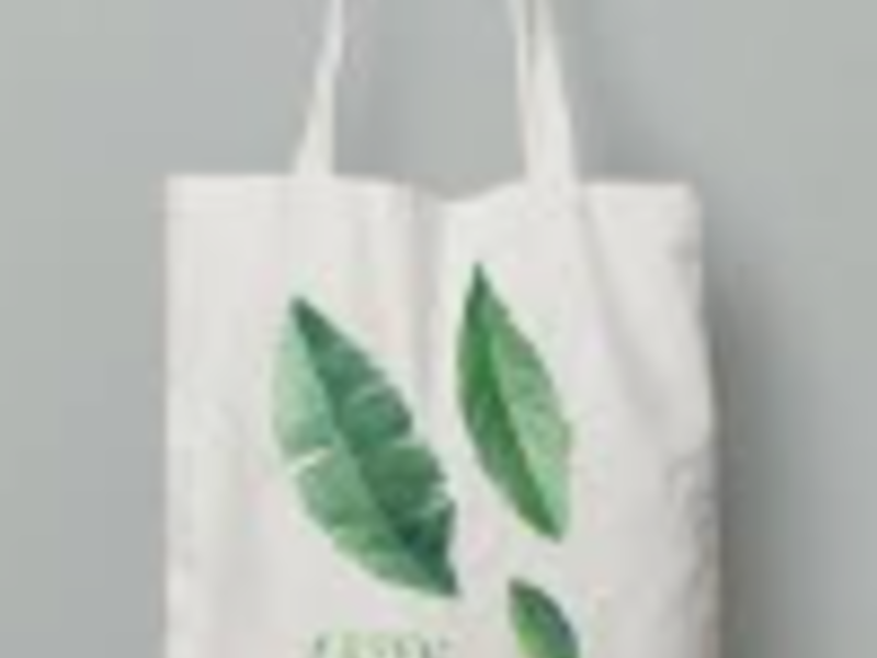 Bolsas ecológicas, Lima Perú