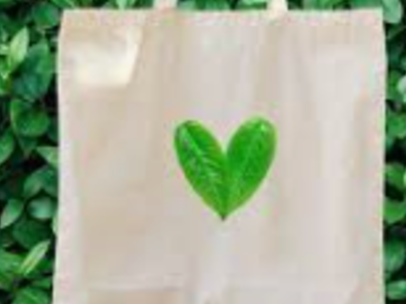 Bolsas ecológicas, Lima Perú
