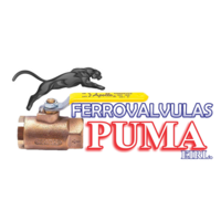 Ferrovalvulas Puma