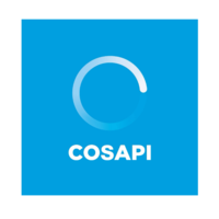 Cosapi S.A