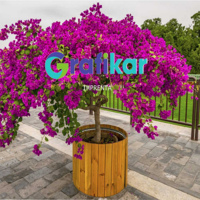 Grupo Grafikar
