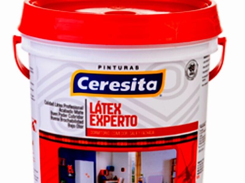 Pintura Experto Peru