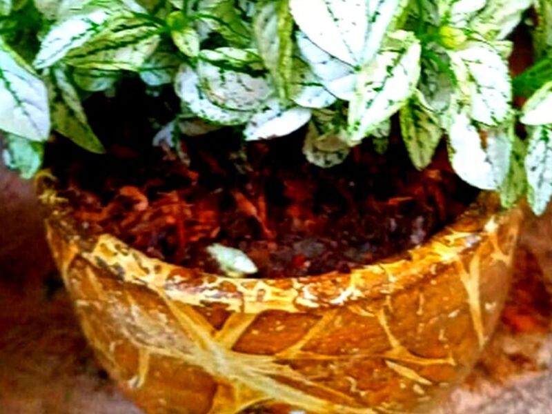 Maceta Decorada Naranja Peru
