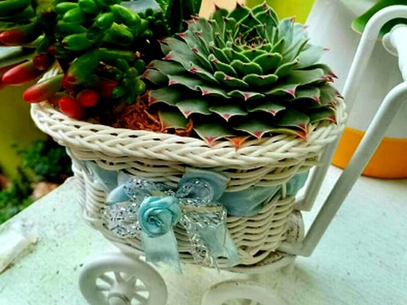 Maceta decorativa Rattan Peru