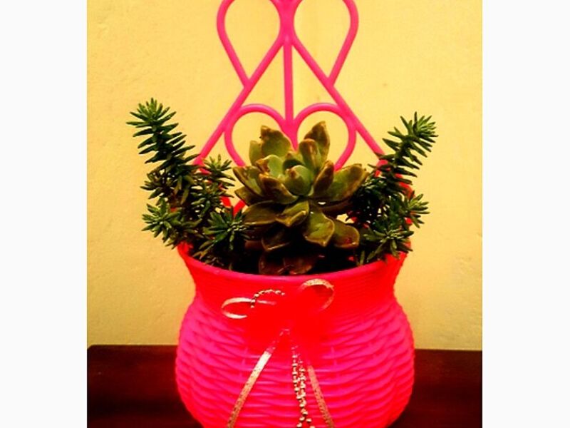 Maceta colgante Rosa Peru