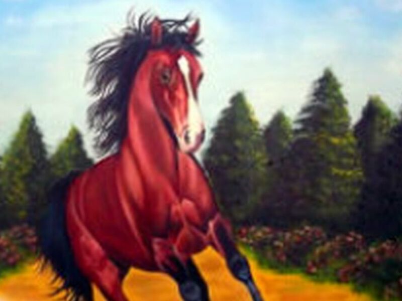 Pintura Cuadro Caballo Perú