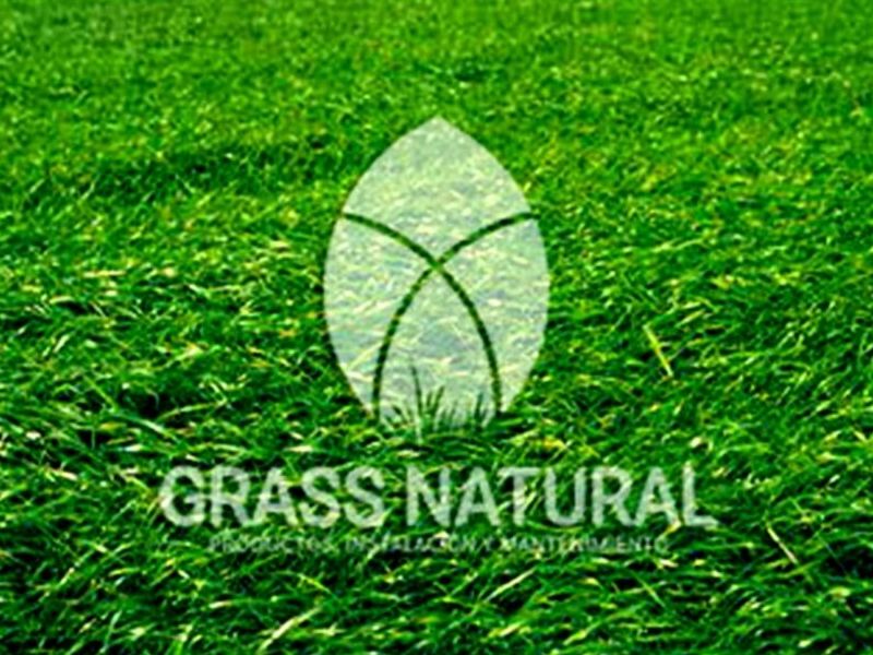 Grass Natural Nacional Perú
