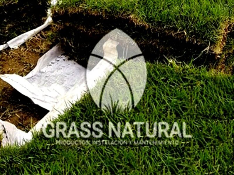 Grass Natural Japonés Perú