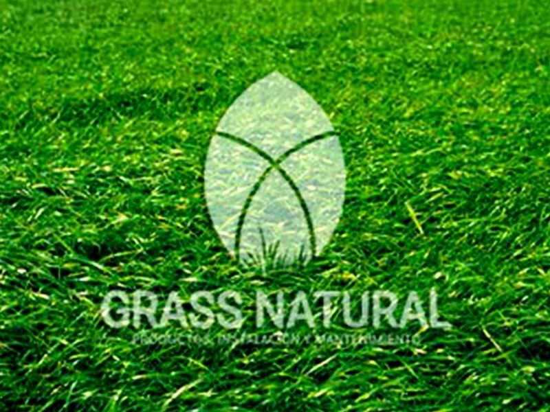 Grass Natural Nacional Perú