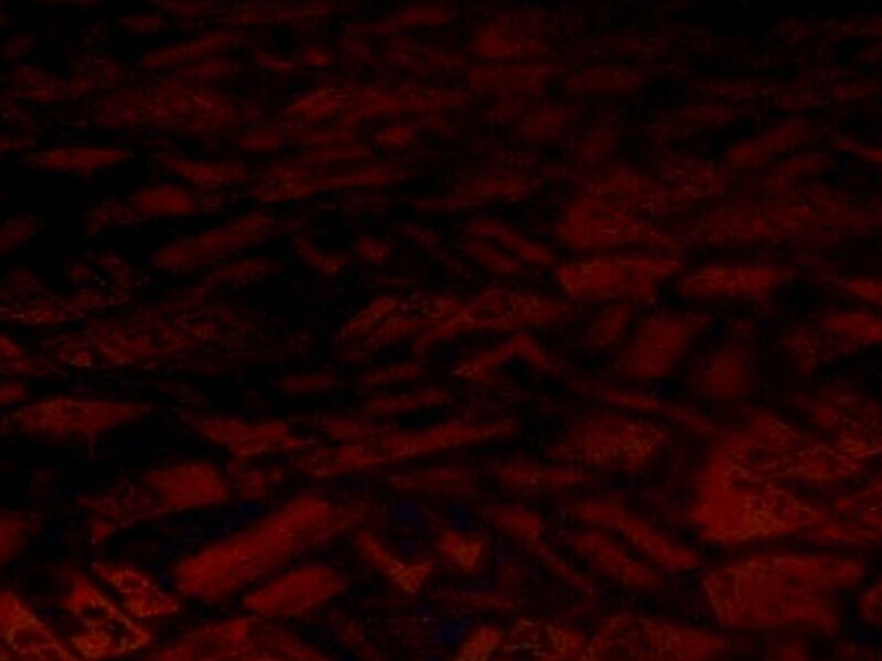 Alfombra modular decorado Peru