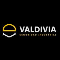 Valdivia Seguridad Industrial