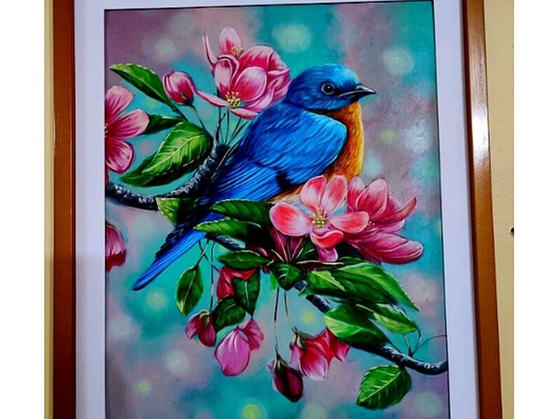 Cuadro decorativo Ave Azul Peru