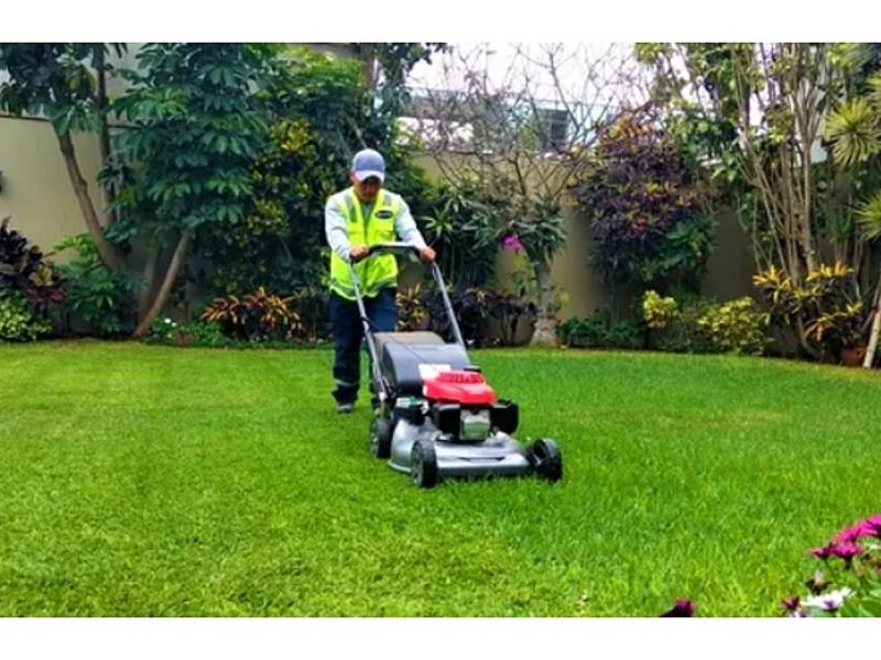 Mantenimiento Áreas Verdes Piura