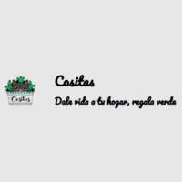 Cositas Tienda de Maceteros