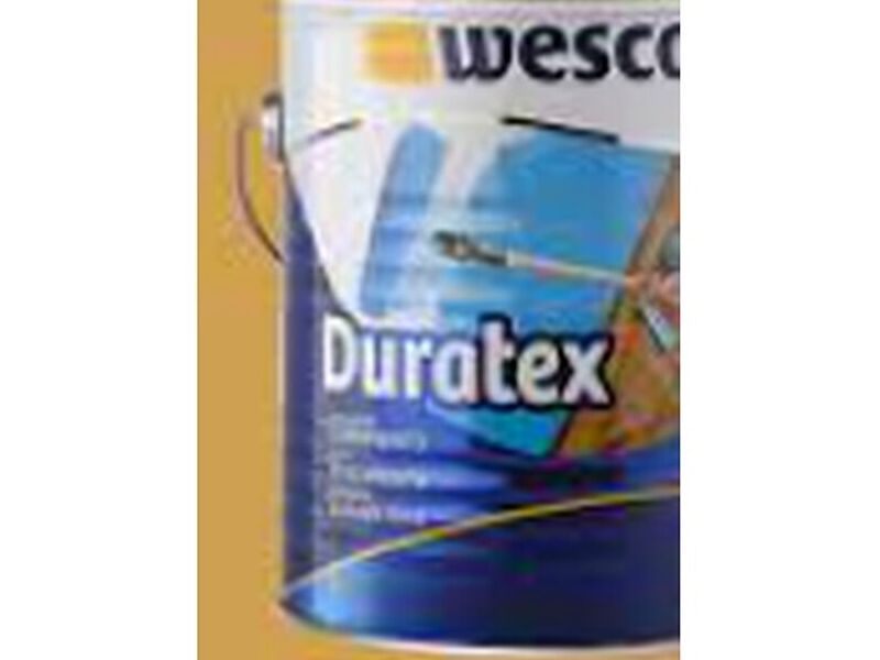 Pintura duratex