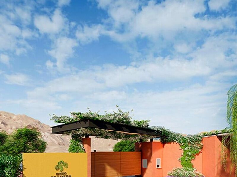 DISEÑO PAISAJISMO IQUITOS