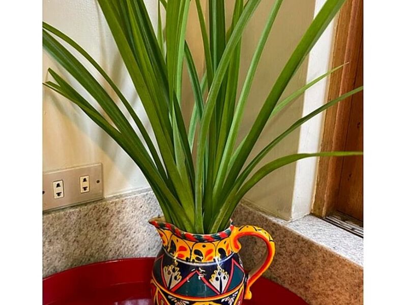 FLORERO CERAMICA PERÚ