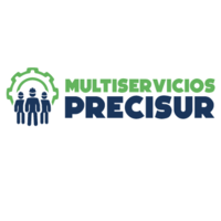 Multiservicios Precisur