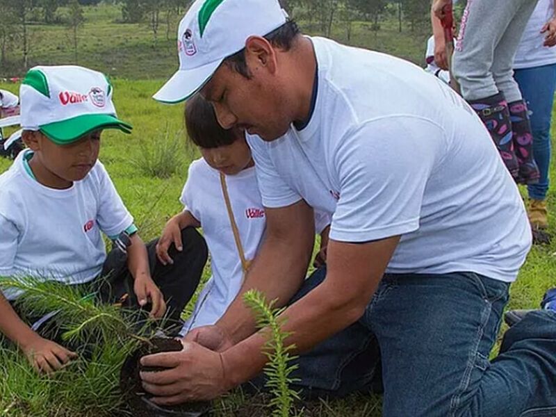 PROTECCIÓN DEL MEDIO AMBIENTE