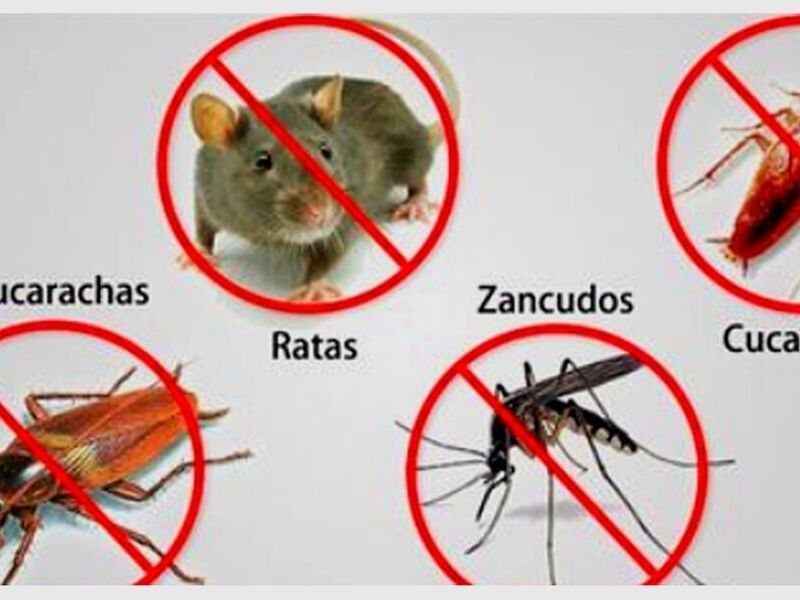 Desinsectación Perú