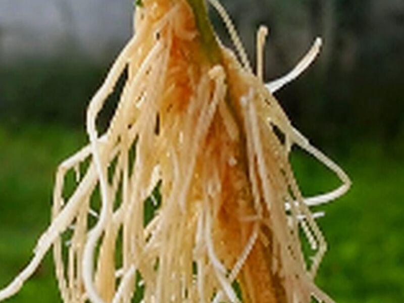 Insecticida Fendona Perú