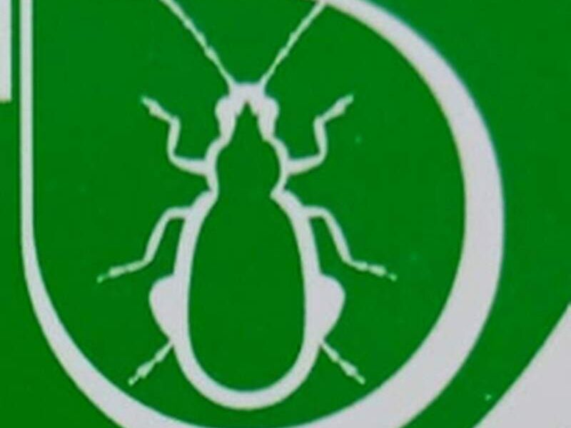 Control Insectos Perú