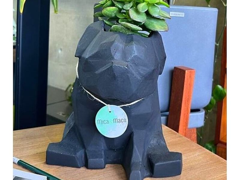 Maceta Pug Santiago Surco