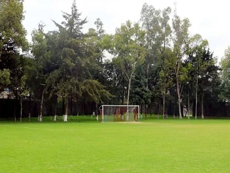 Mantenimiento campos deportivos  Santa Anita