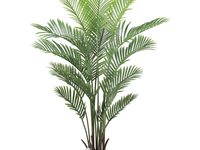Areca Palm Tree - 160 cms Instagreen Lima