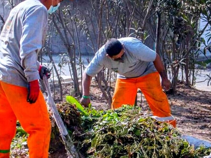 Servicios de Limpieza de Jardines Perú