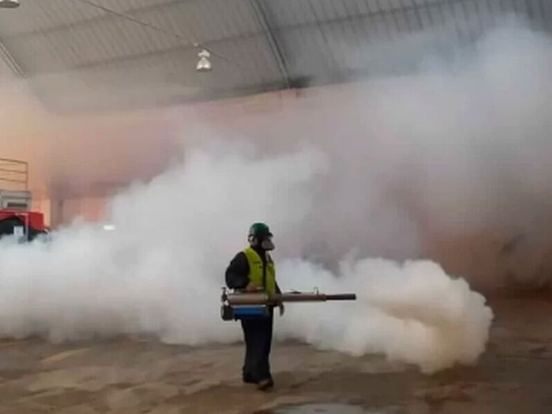 Fumigación Insectos Perú