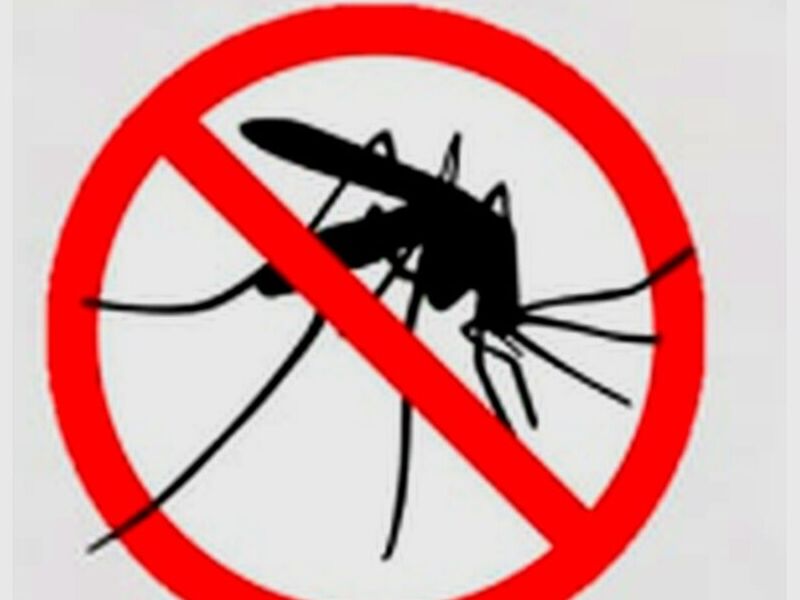 Fumigación Mosquito Perú