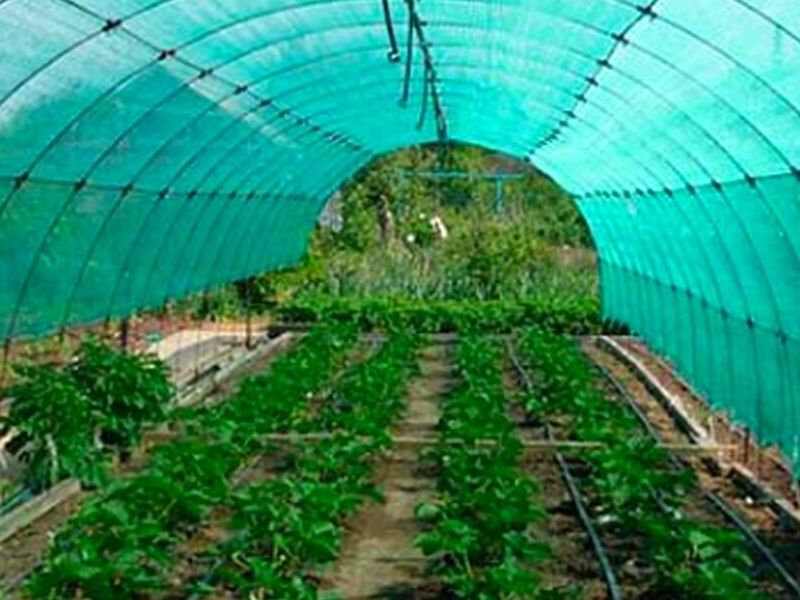 Malla Raschel Verde 50%