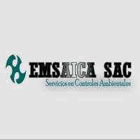 Emsaica Sac