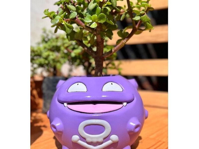 Maceteros Nidoking Perú