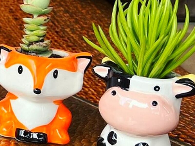 Maceteros Animales Perú