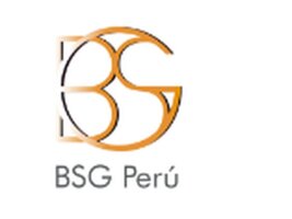 grupo bsg