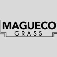 MAGUECO GRASS